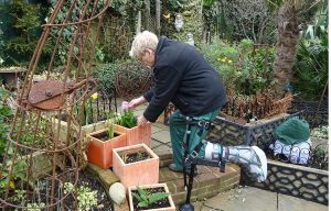 Gardening Knee Pain
