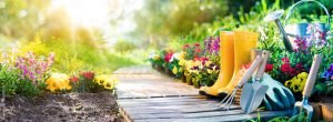 Gardening and Physiotherapy