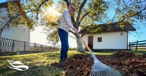 Fall Raking